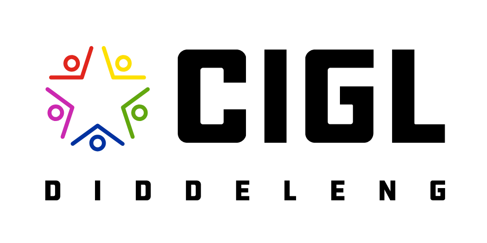 Étude de cas CIGL Diddeleng