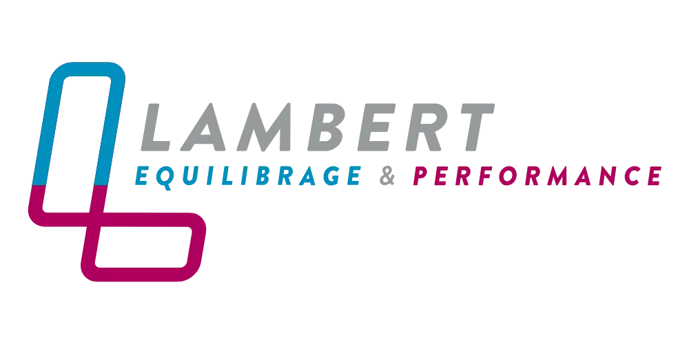 Étude de cas Lambert Performance